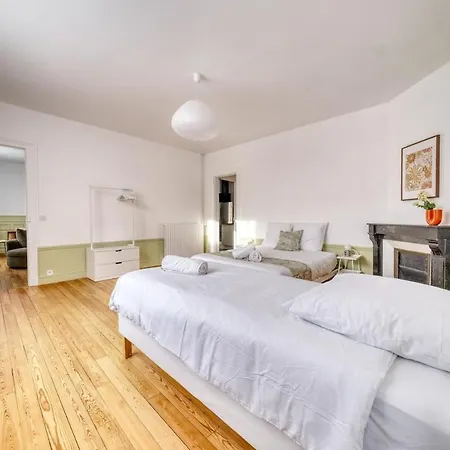 Aloe Vera - 3 * Reims